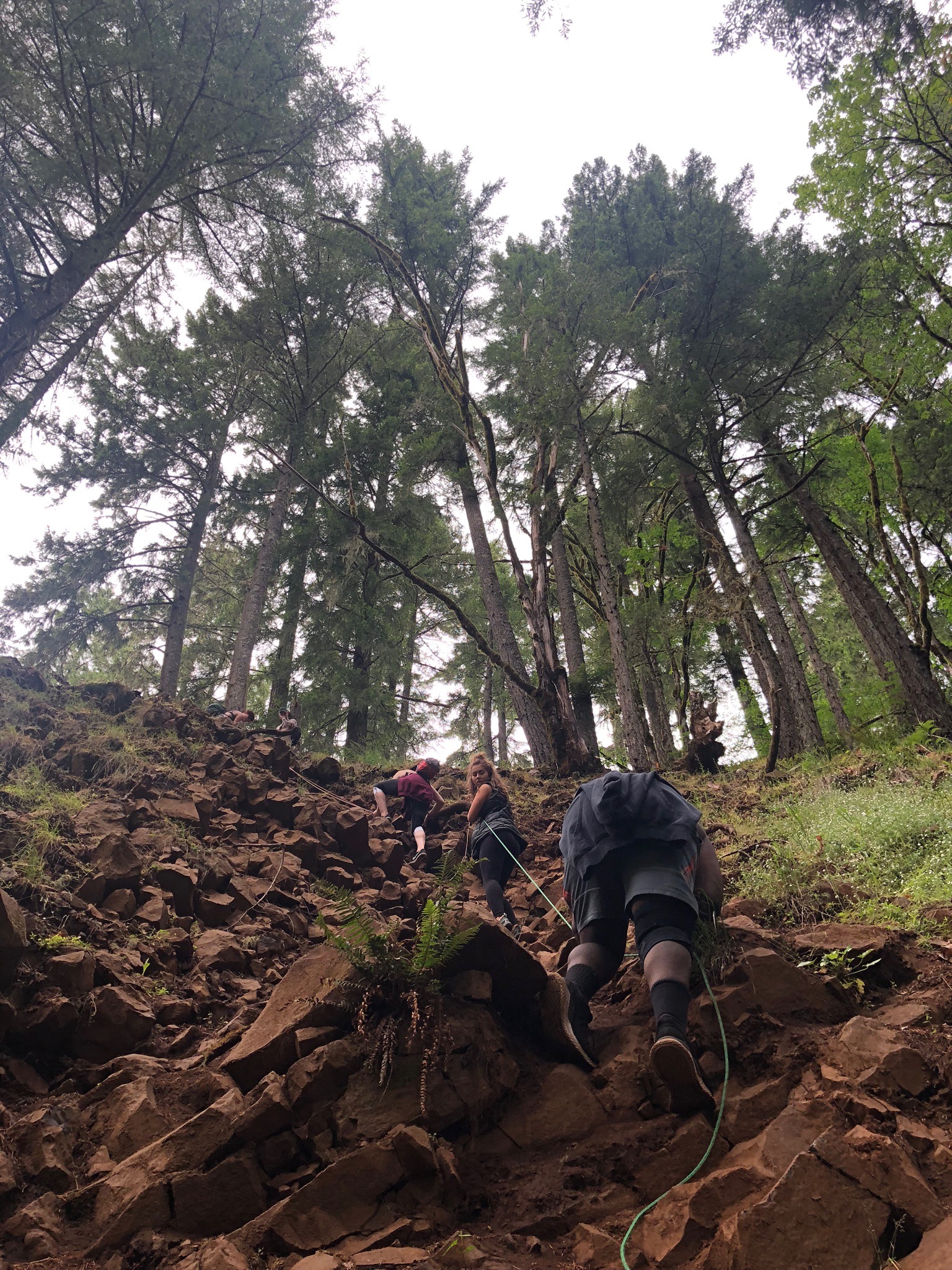 abiqua falls, trail, Oregon