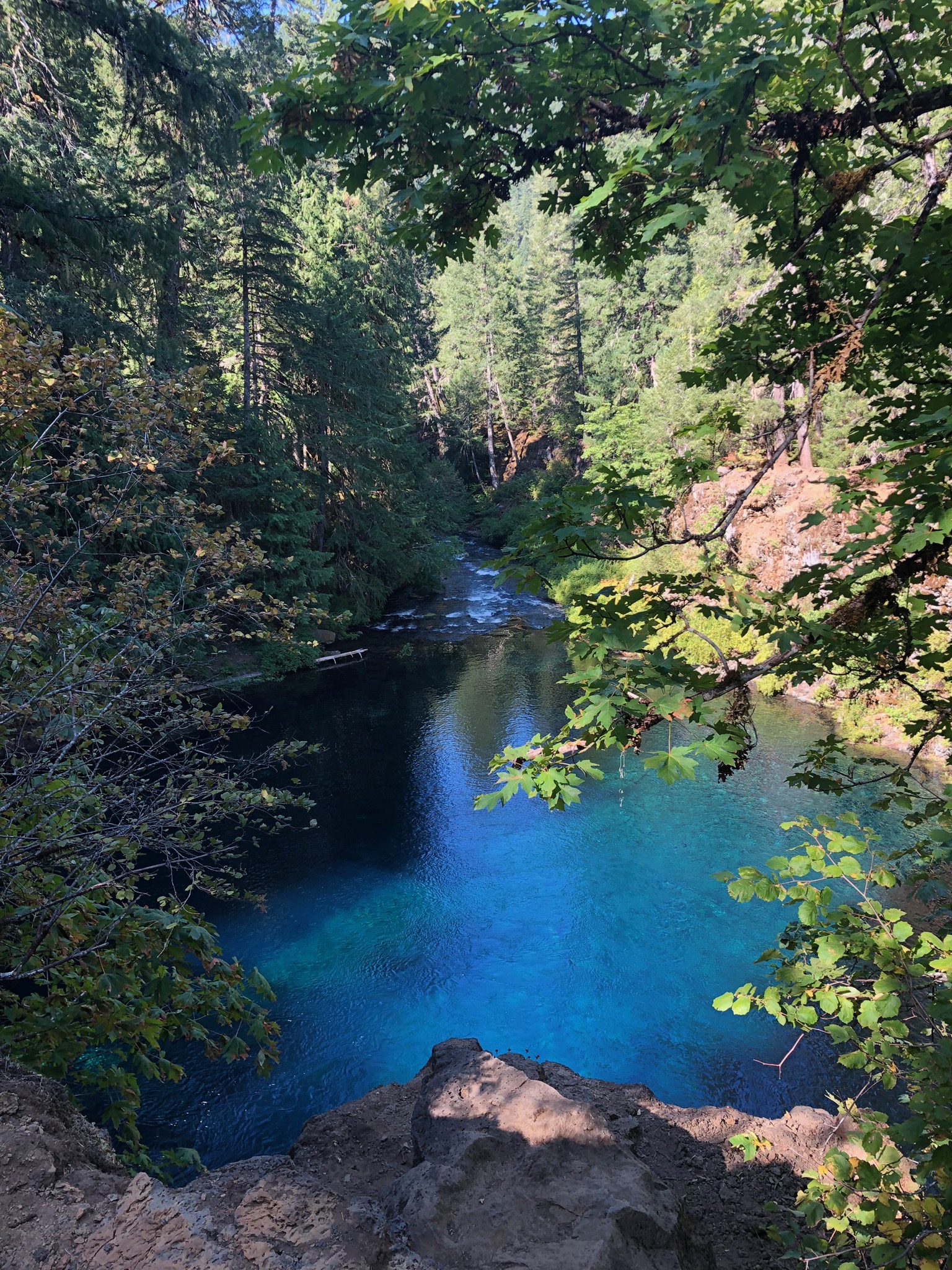 tamolitch blue pool, Oregon, mckinzie river