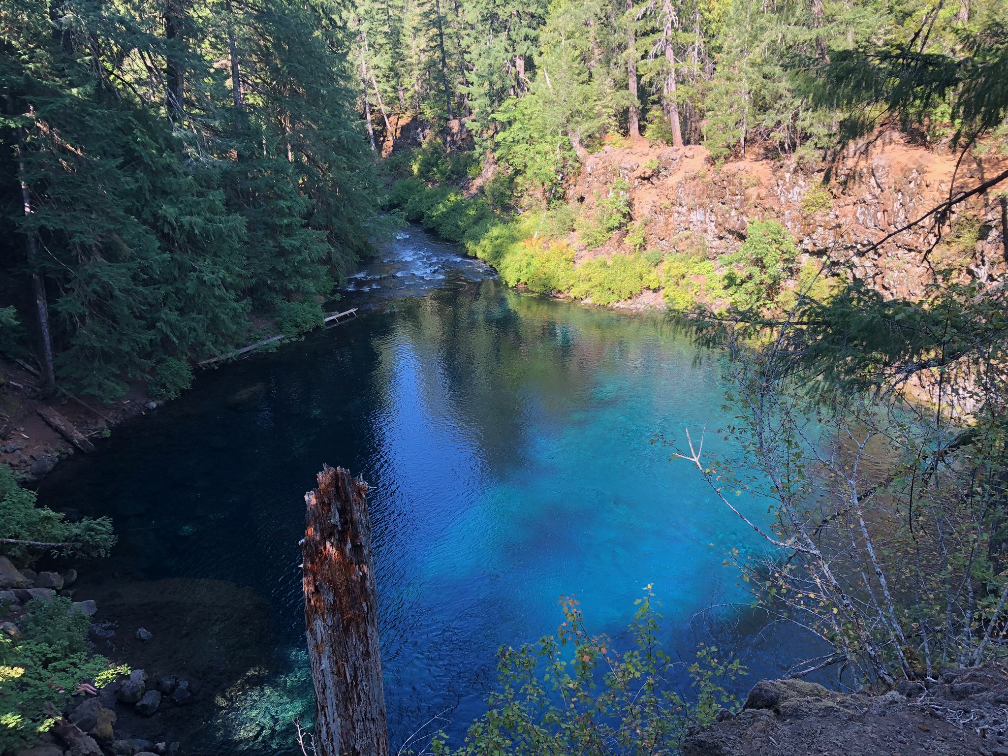 tamolitch blue pool, Oregon, Mckenzie river
