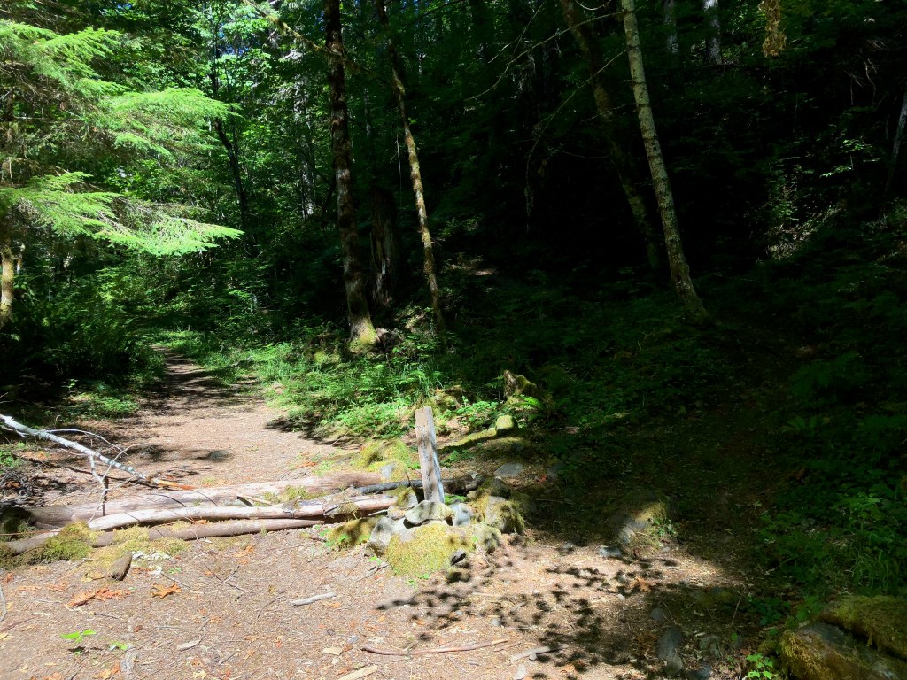 dome rock peak, Detroit, Oregon,