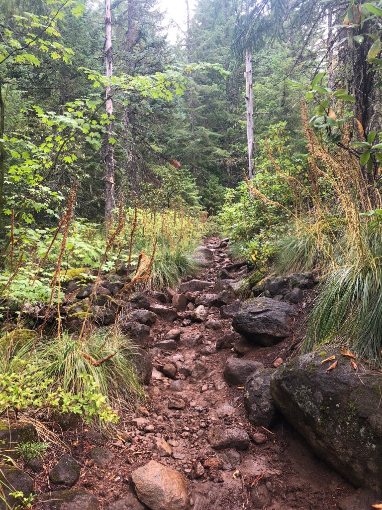 hike, oregon, bear point, bear grass, mount jefferson