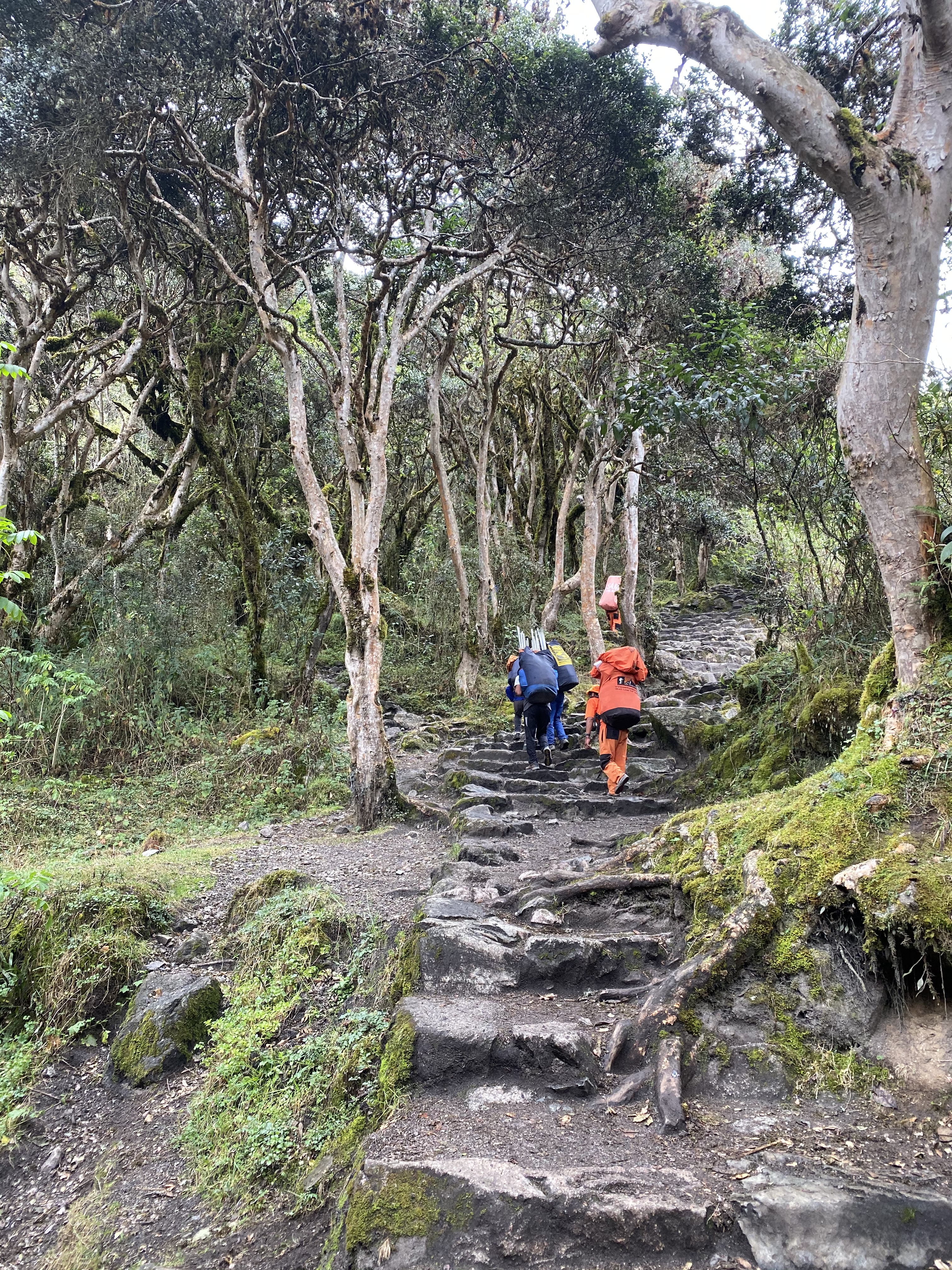Machu Picchu, dead woman’s pass, peru, inka trail
